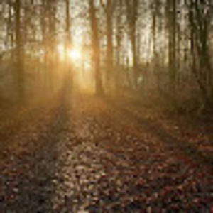 Meet your Posher, Anne